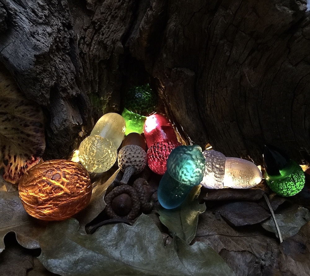 Squirrel’s treasure Squirrel’s treasure